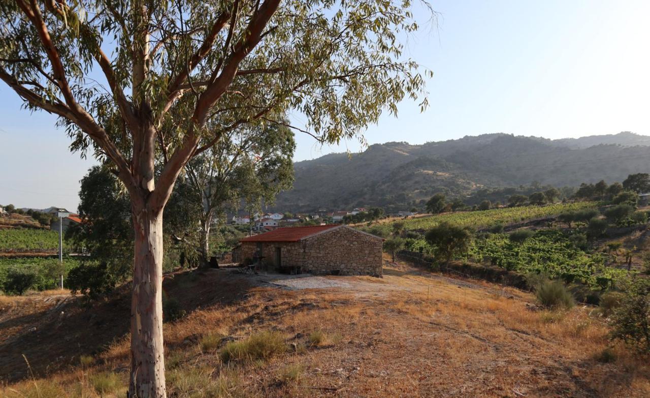 Quinta De Gandarem Villa Torre De Moncorvo Exterior photo